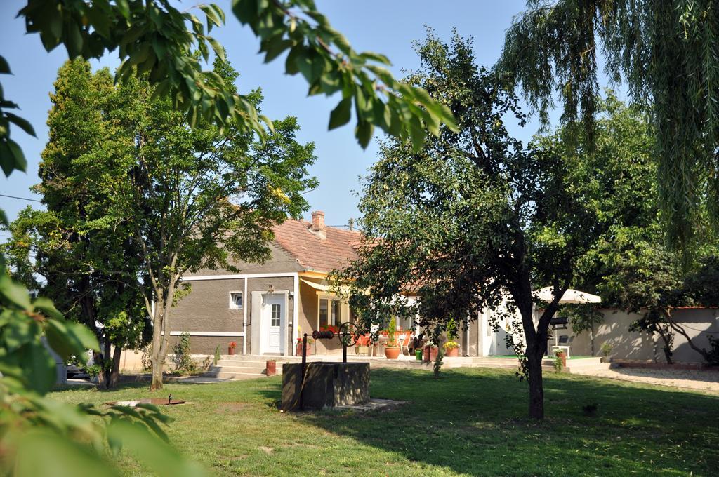 Home Tara Haţeg المظهر الخارجي الصورة