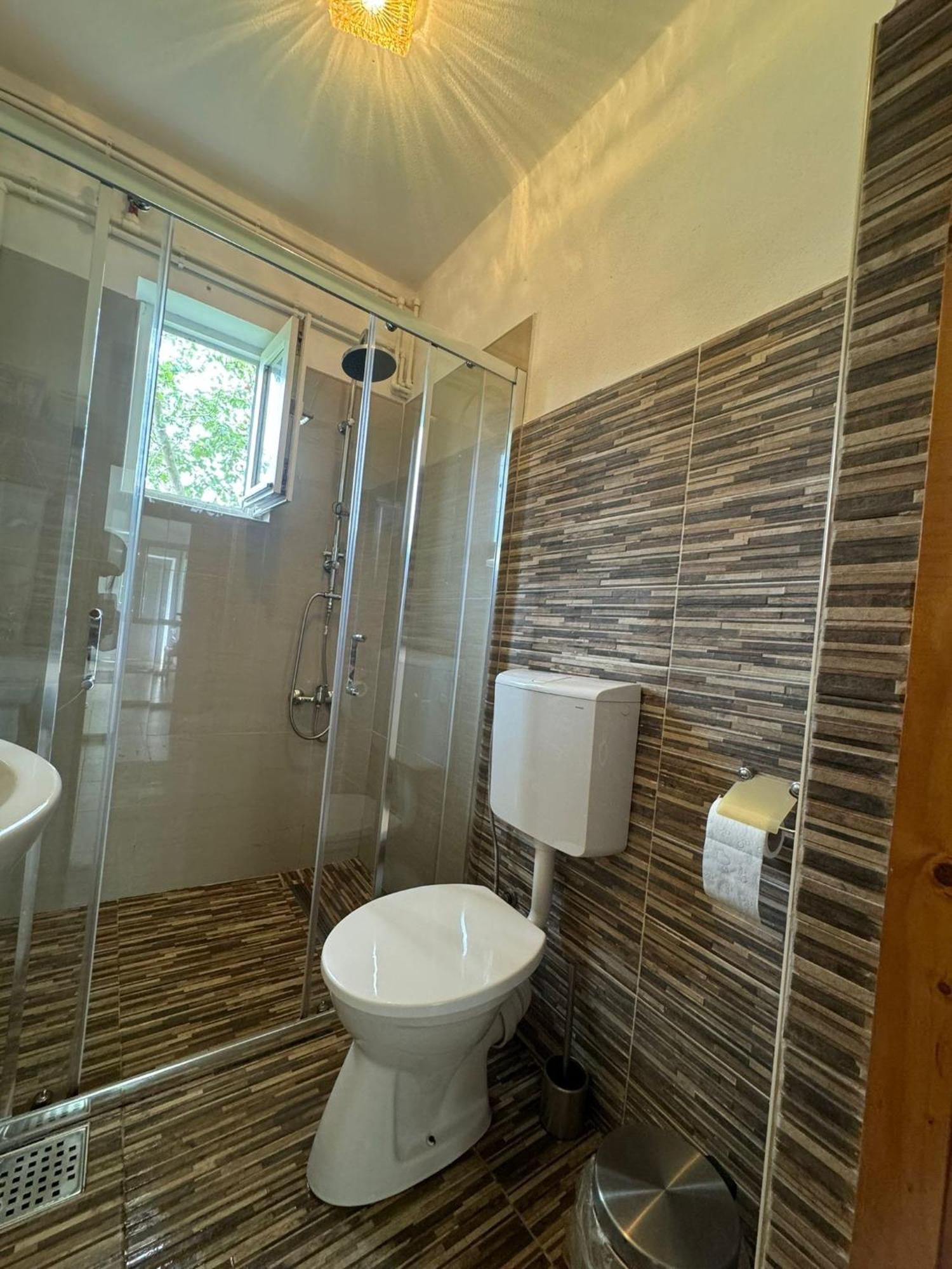 Home Tara Haţeg المظهر الخارجي الصورة