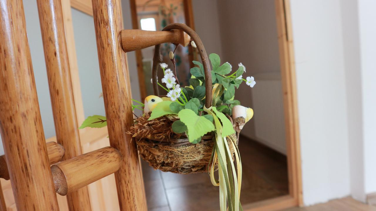 Home Tara Haţeg المظهر الخارجي الصورة